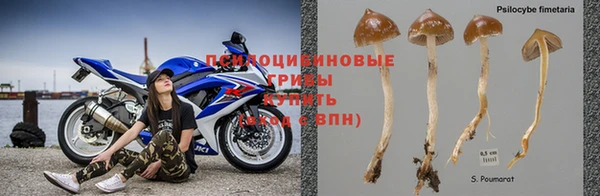 MESCALINE Арсеньев