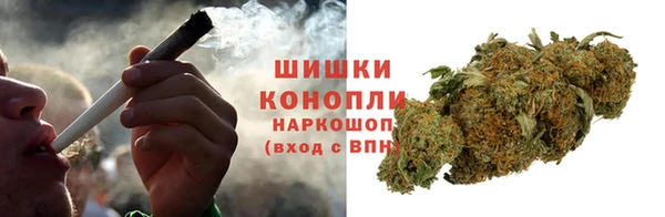прущие крисы Аркадак