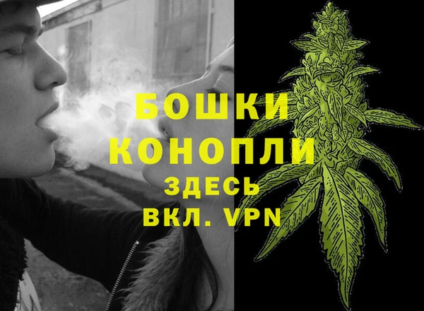 прущие крисы Аркадак