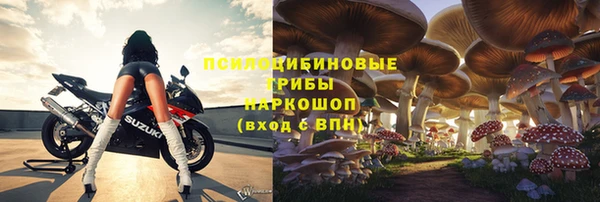 apvp Армянск